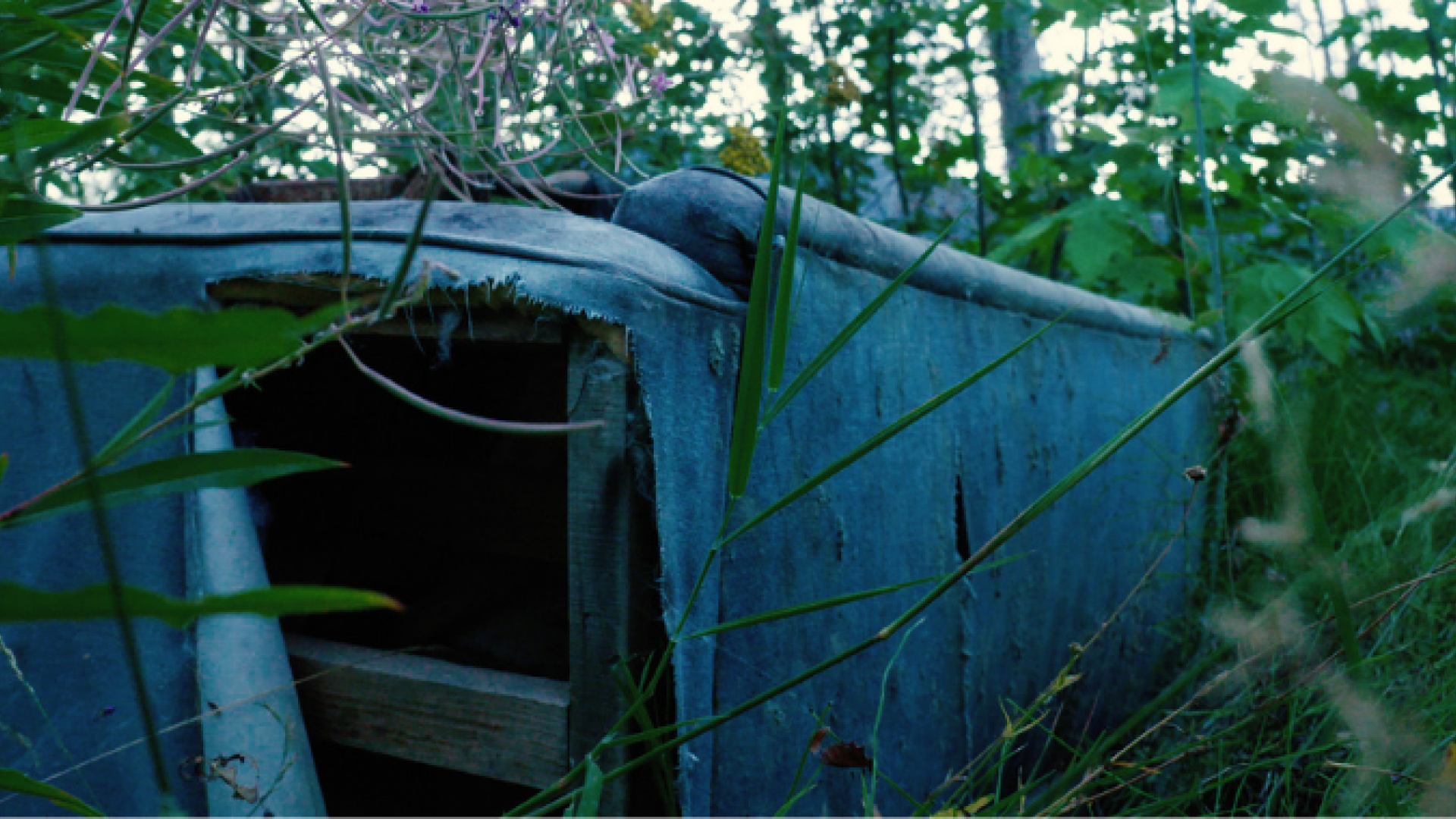 an abandoned couch in the forest
