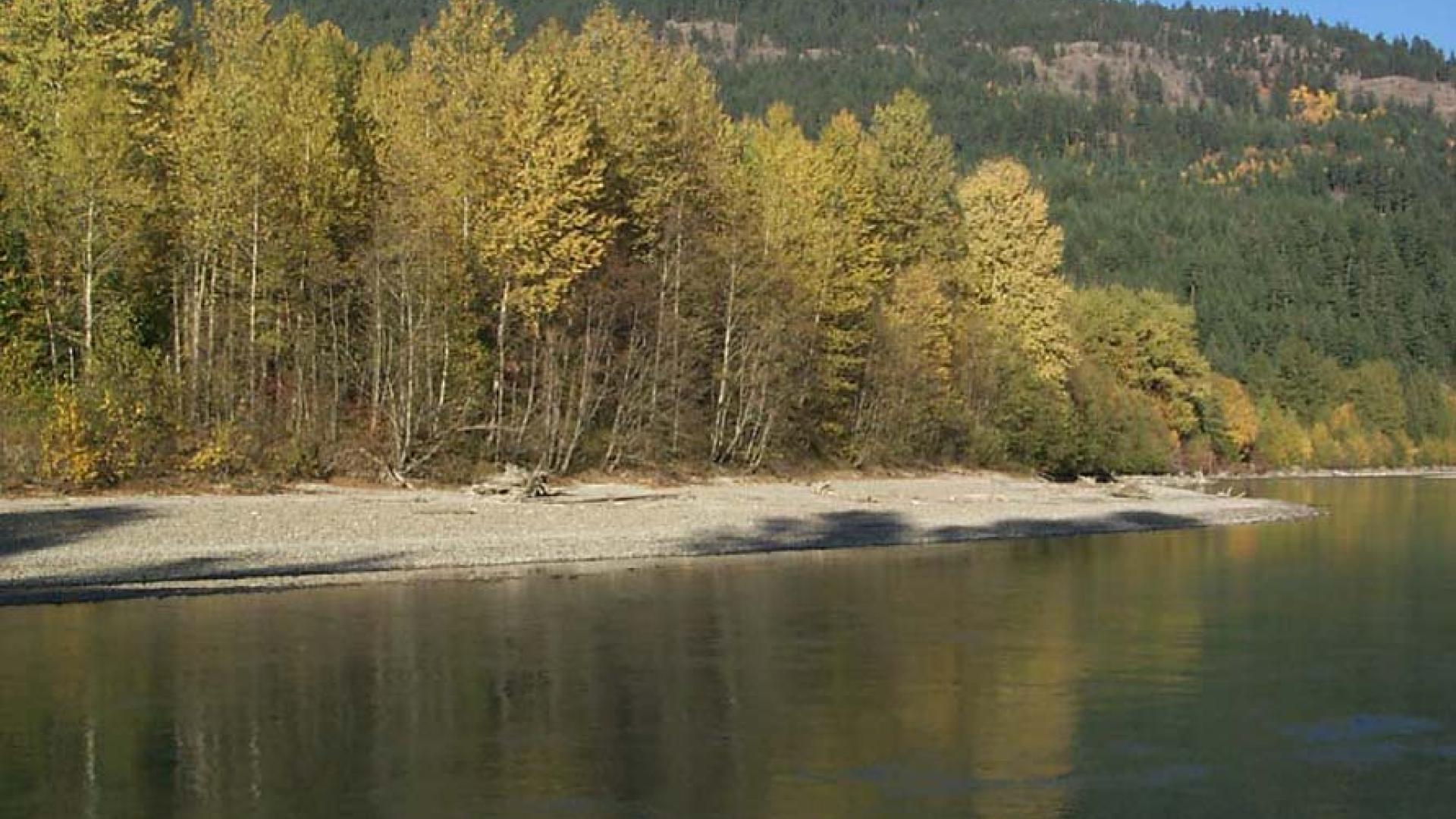 Riverside Park beach