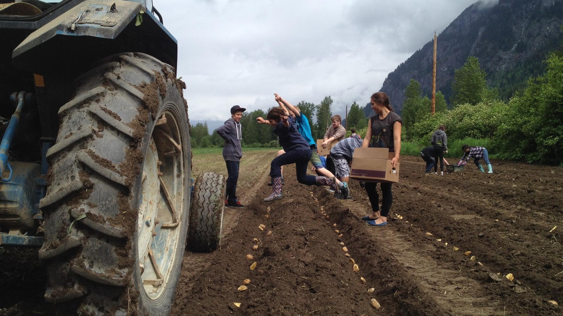 Seed to Table program