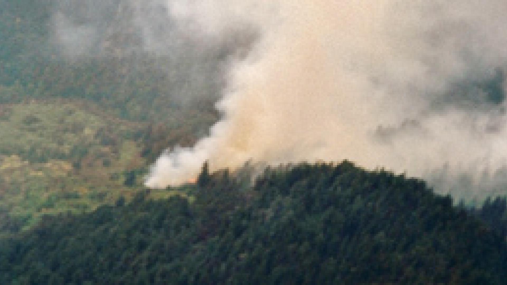 smoke rising from a hillside
