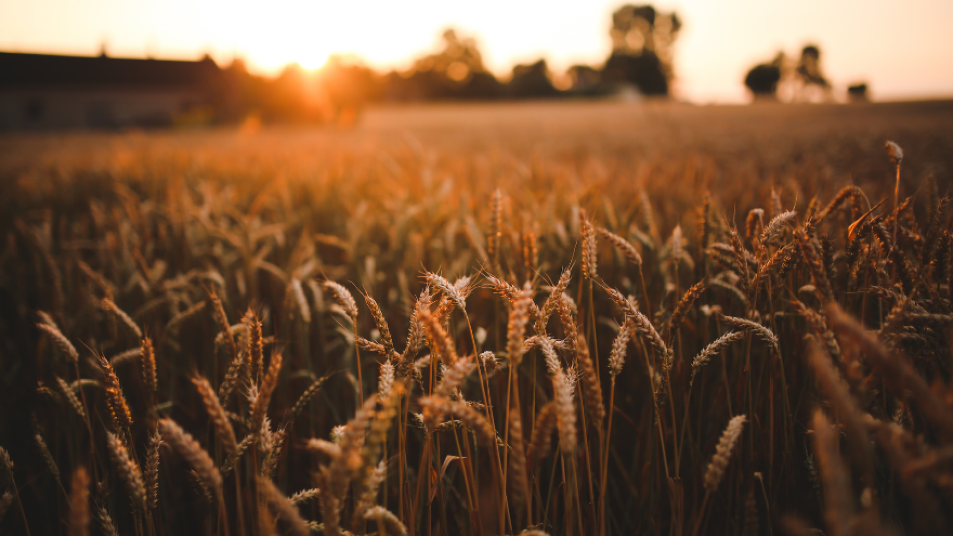 Link, Area D Agriculture Updates - Zoning Amendment Bylaw