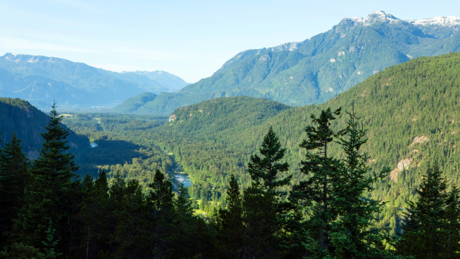 Squamish Valley
