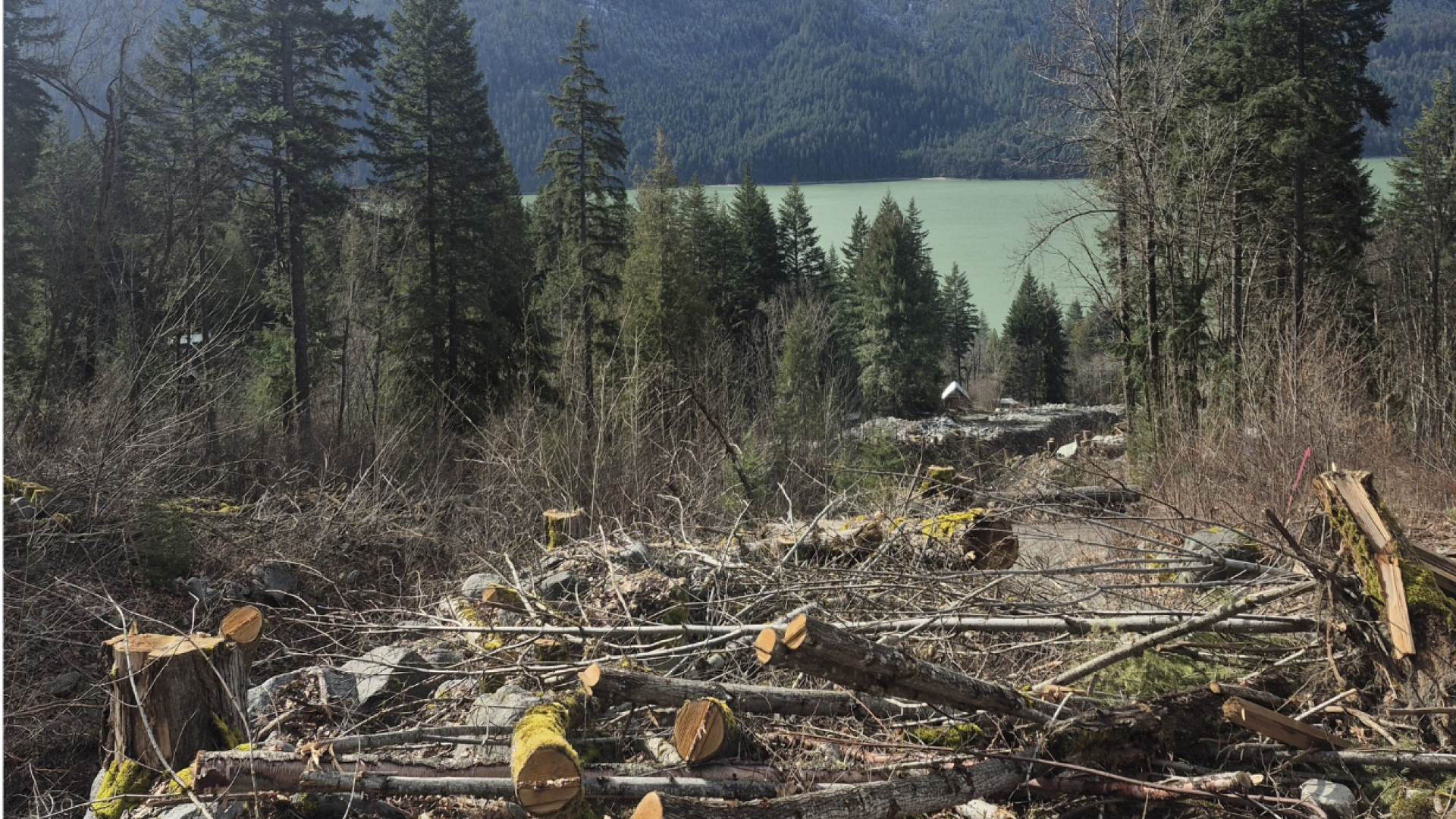 Catiline creek to lake March 2026
