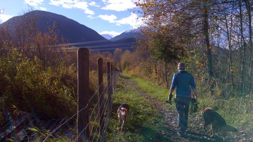 Valley Loop Trail